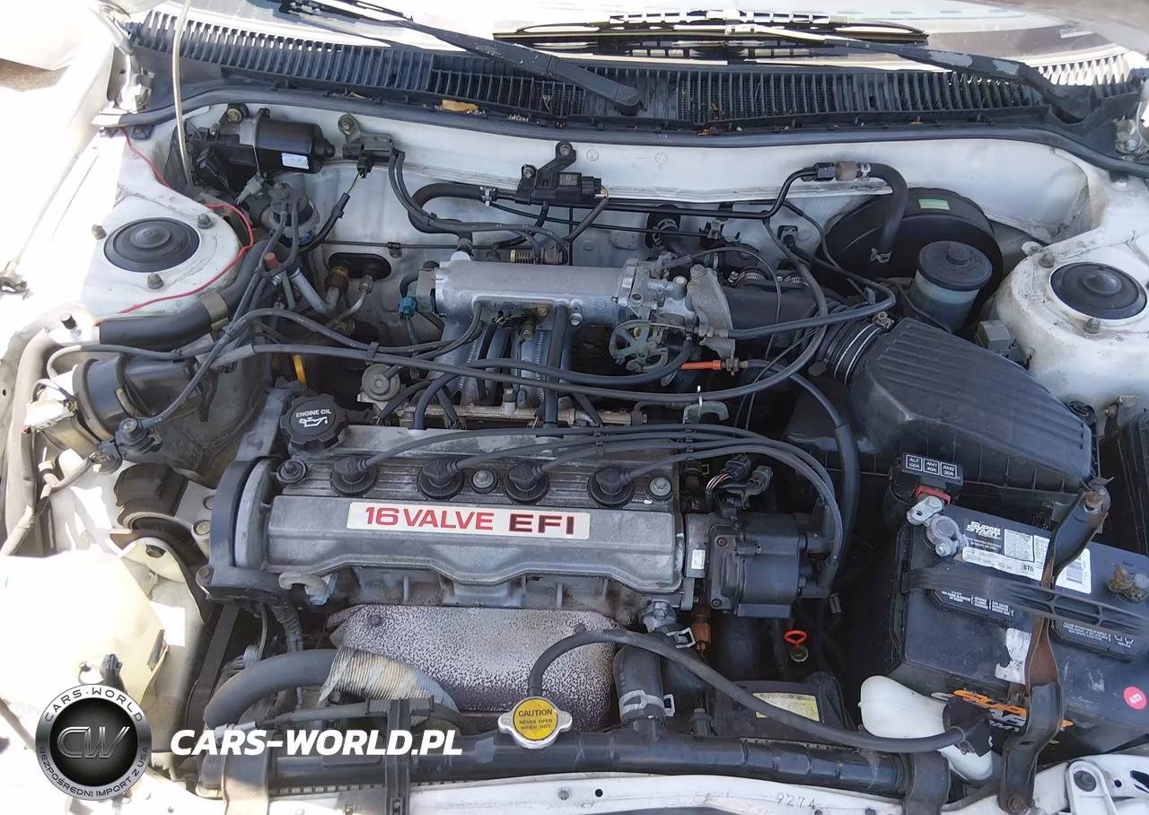 1992 Toyota Corolla Le-Dlx VIN:1NXAE97A8NZ310207 - 10