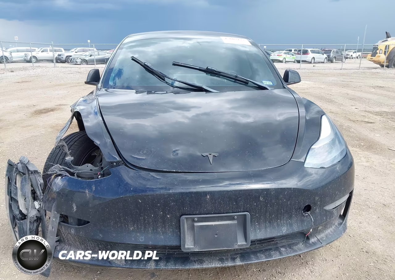 2022 Tesla Model 3 Long Range Dual Motor All-Wheel Drive VIN:5YJ3E1EBXNF192261 - 11