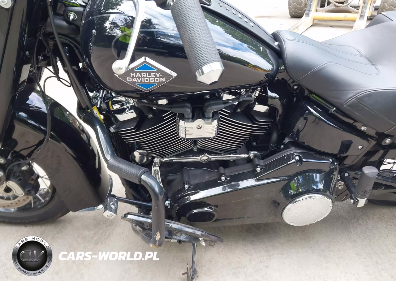 2025 Harley-Davidson Flhc VIN:1HD1YA918SB041366 - 9