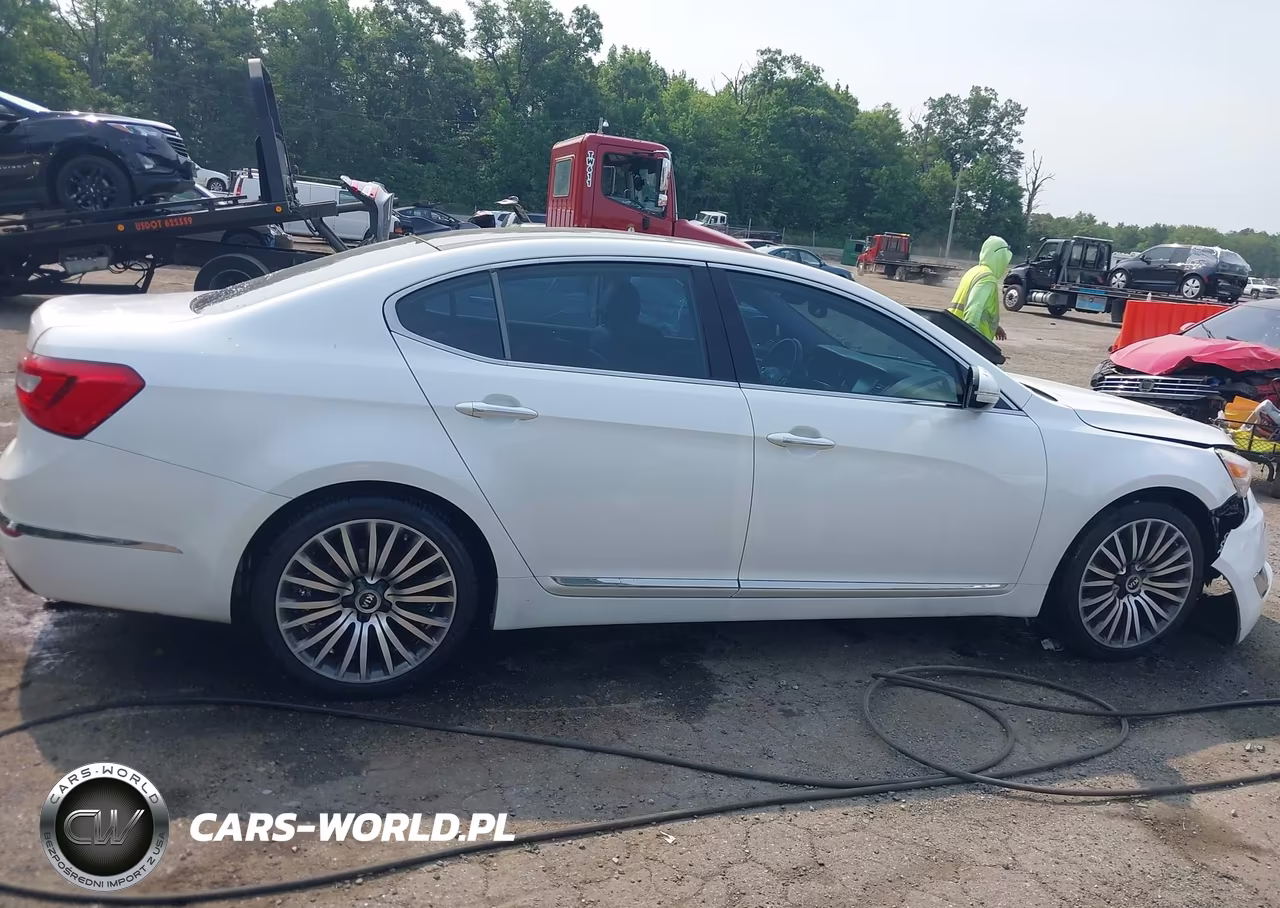 2015 Kia Cadenza Premium VIN:KNALN4D78F5182147 - 13