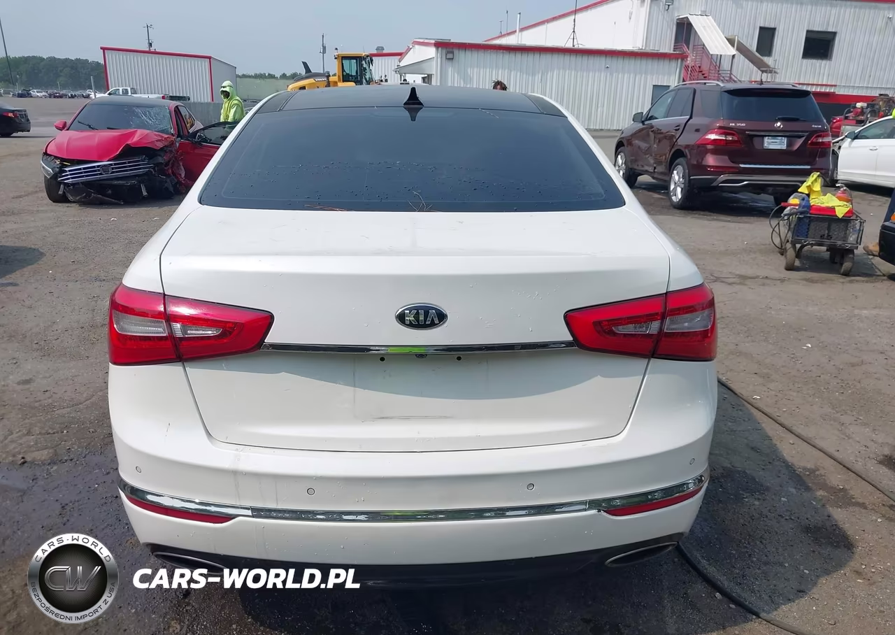 2015 Kia Cadenza Premium VIN:KNALN4D78F5182147 - 16