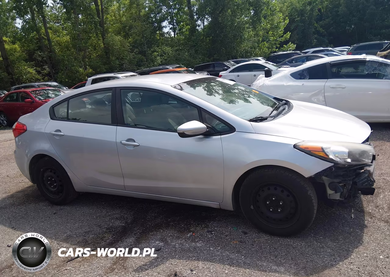 2015 Kia Forte Lx VIN:KNAFK4A63F5417328 - 14