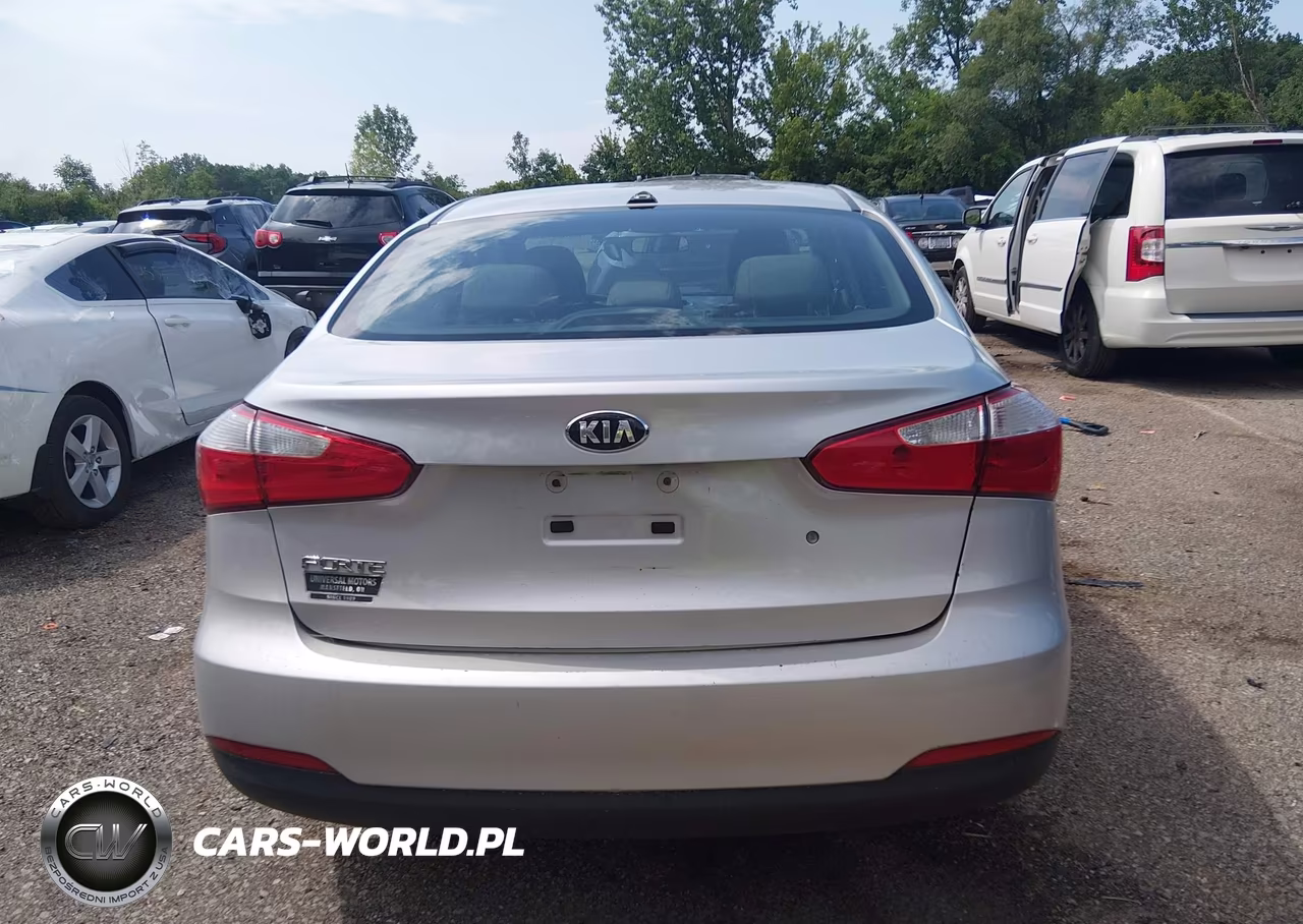 2015 Kia Forte Lx VIN:KNAFK4A63F5417328 - 17