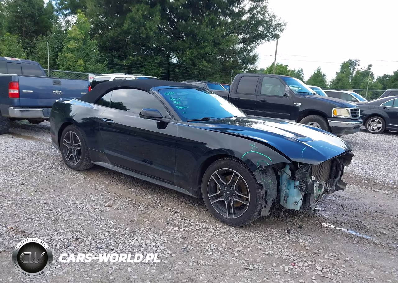 2019 Ford Mustang Ecoboost Premium VIN:1FATP8UH6K5181804 - 1