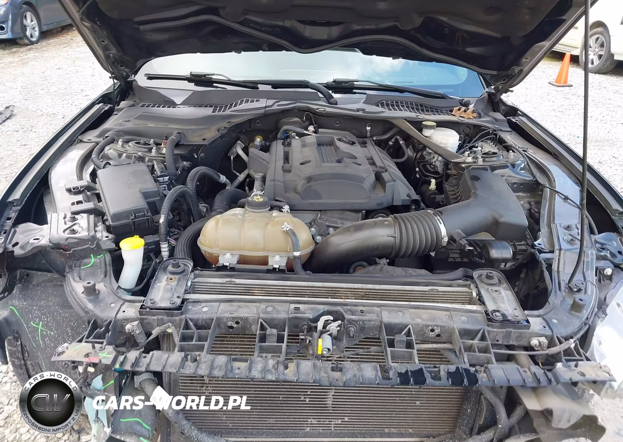 2019 Ford Mustang Ecoboost Premium VIN:1FATP8UH6K5181804 - 10