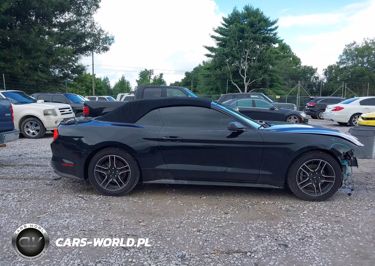 2019 Ford Mustang Ecoboost Premium VIN:1FATP8UH6K5181804 - 13