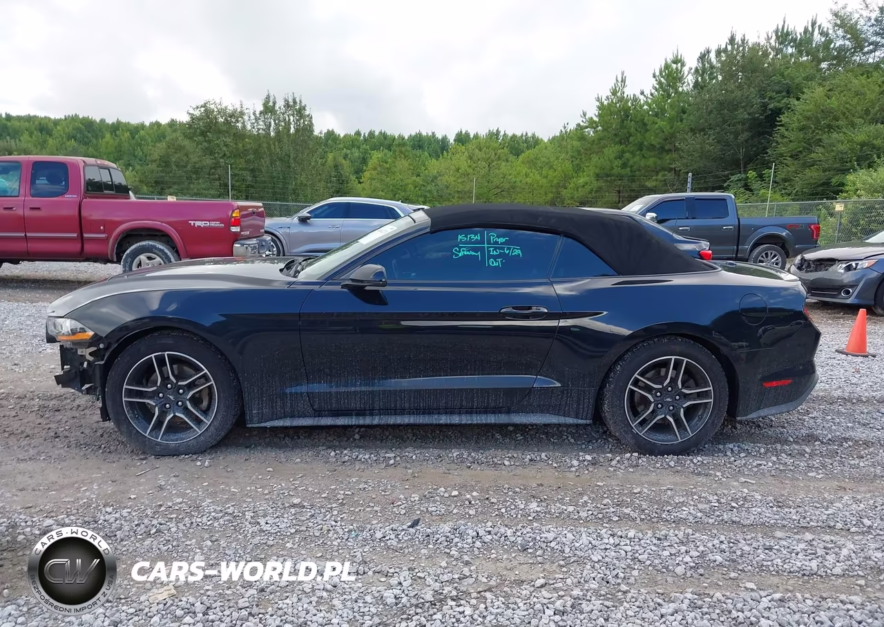 2019 Ford Mustang Ecoboost Premium VIN:1FATP8UH6K5181804 - 14