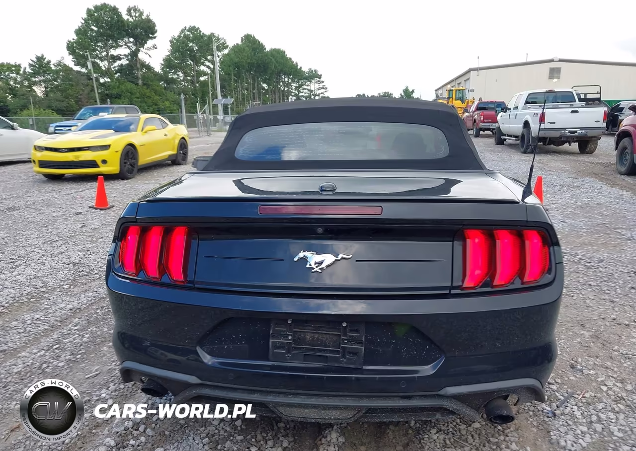 2019 Ford Mustang Ecoboost Premium VIN:1FATP8UH6K5181804 - 16
