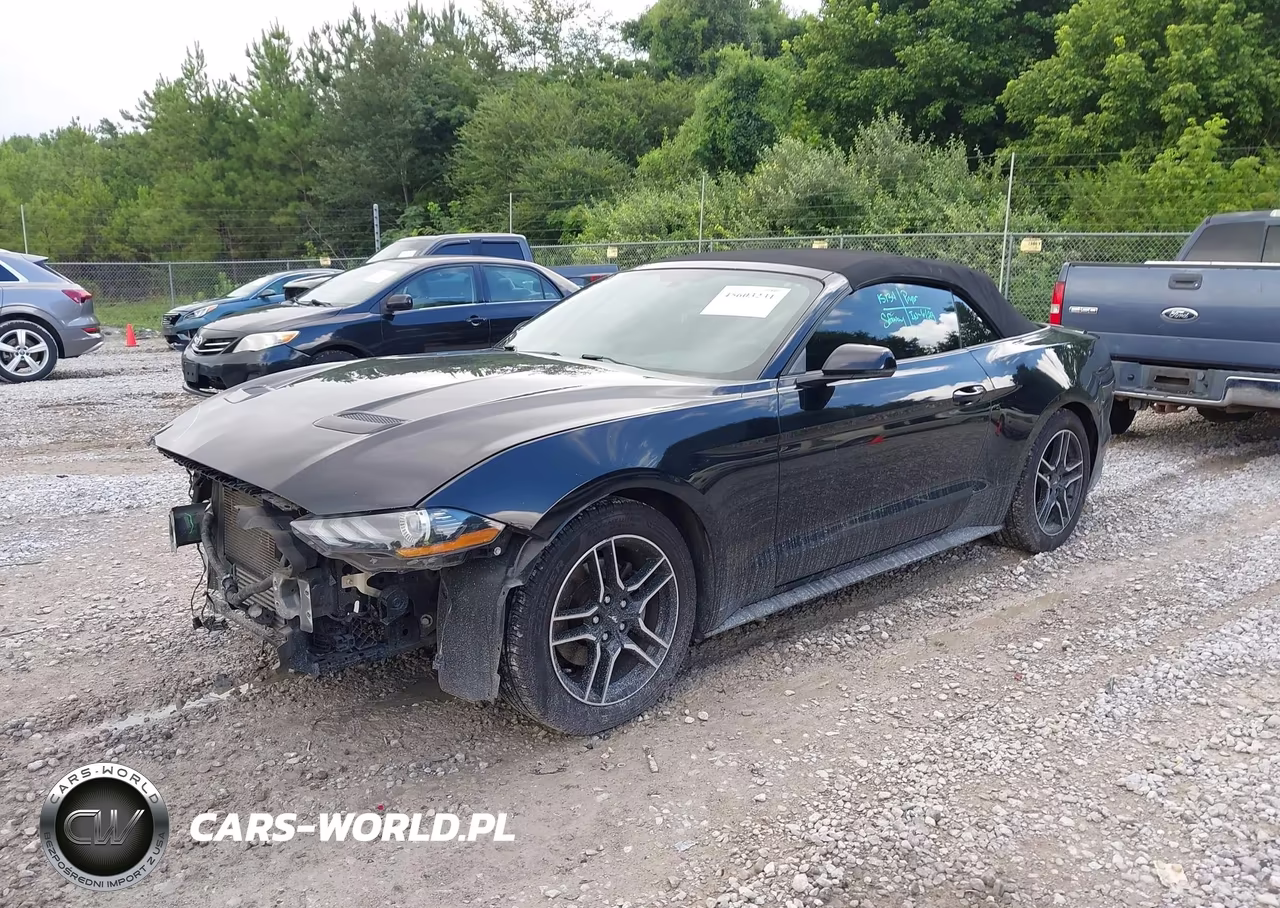 2019 Ford Mustang Ecoboost Premium VIN:1FATP8UH6K5181804 - 2