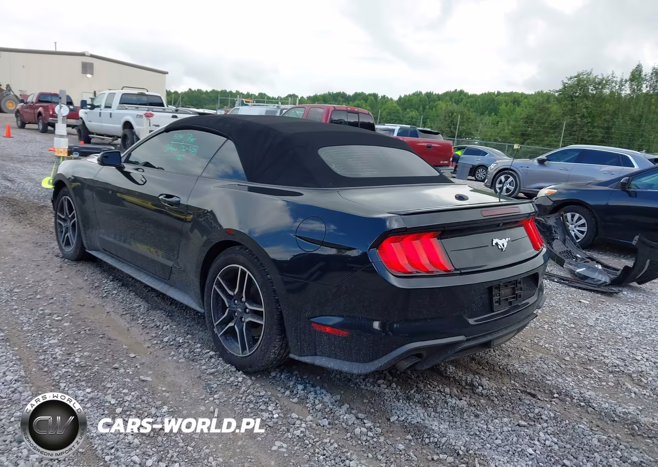 2019 Ford Mustang Ecoboost Premium VIN:1FATP8UH6K5181804 - 3