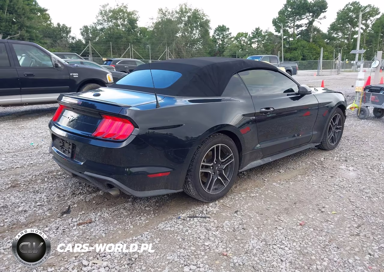 2019 Ford Mustang Ecoboost Premium VIN:1FATP8UH6K5181804 - 4