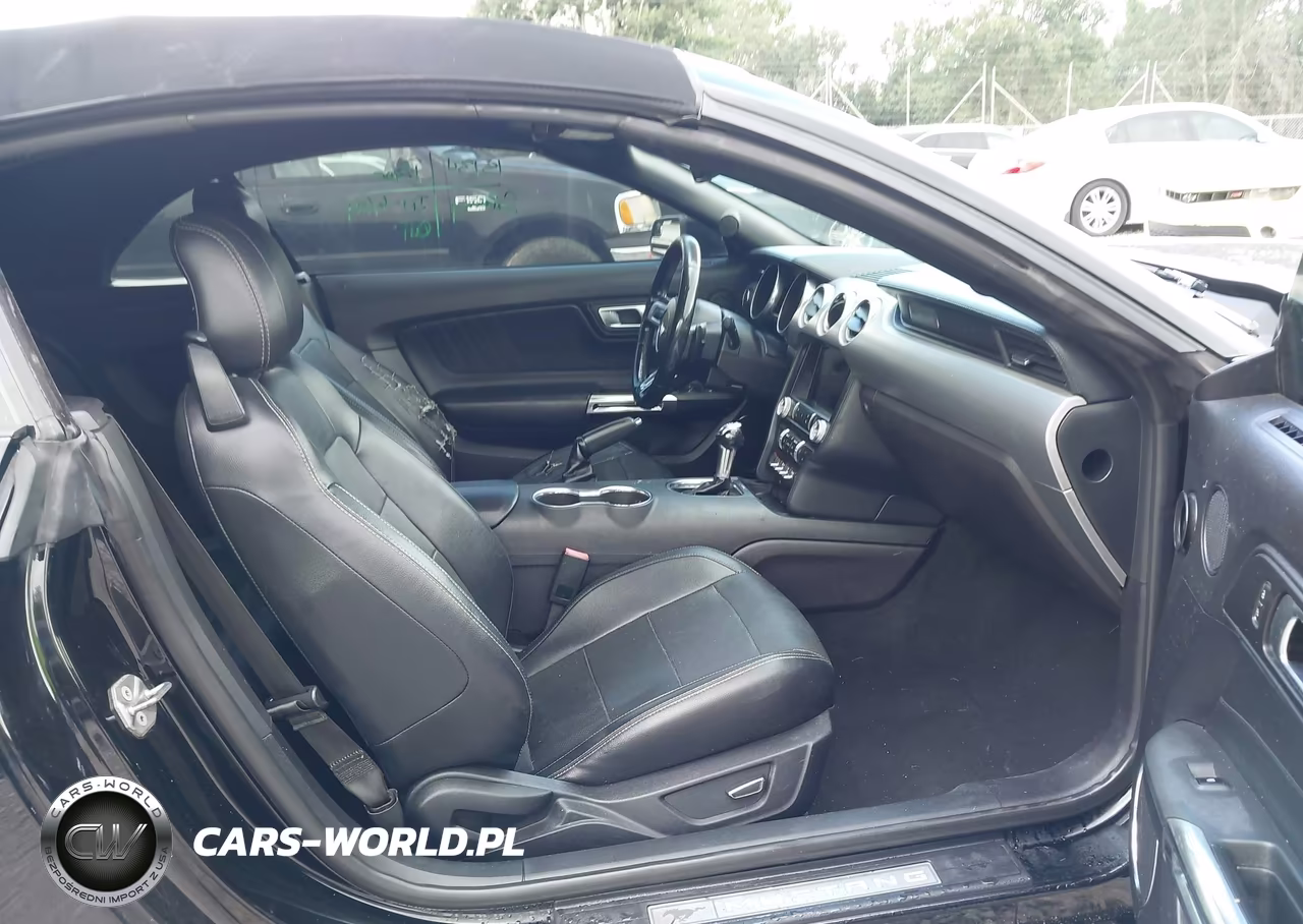 2019 Ford Mustang Ecoboost Premium VIN:1FATP8UH6K5181804 - 5