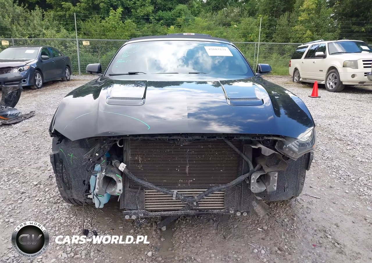 2019 Ford Mustang Ecoboost Premium VIN:1FATP8UH6K5181804 - 6