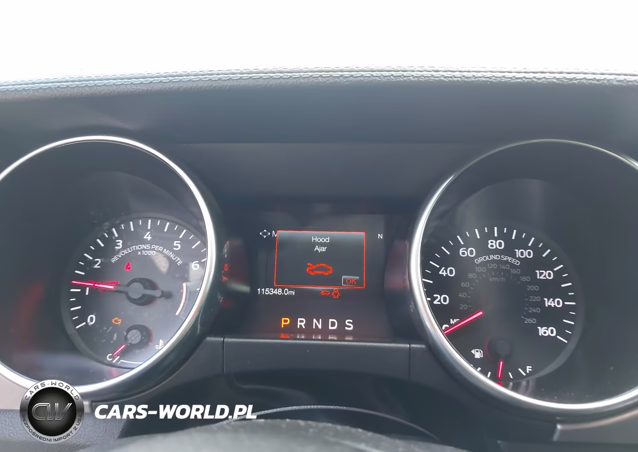 2019 Ford Mustang Ecoboost Premium VIN:1FATP8UH6K5181804 - 7