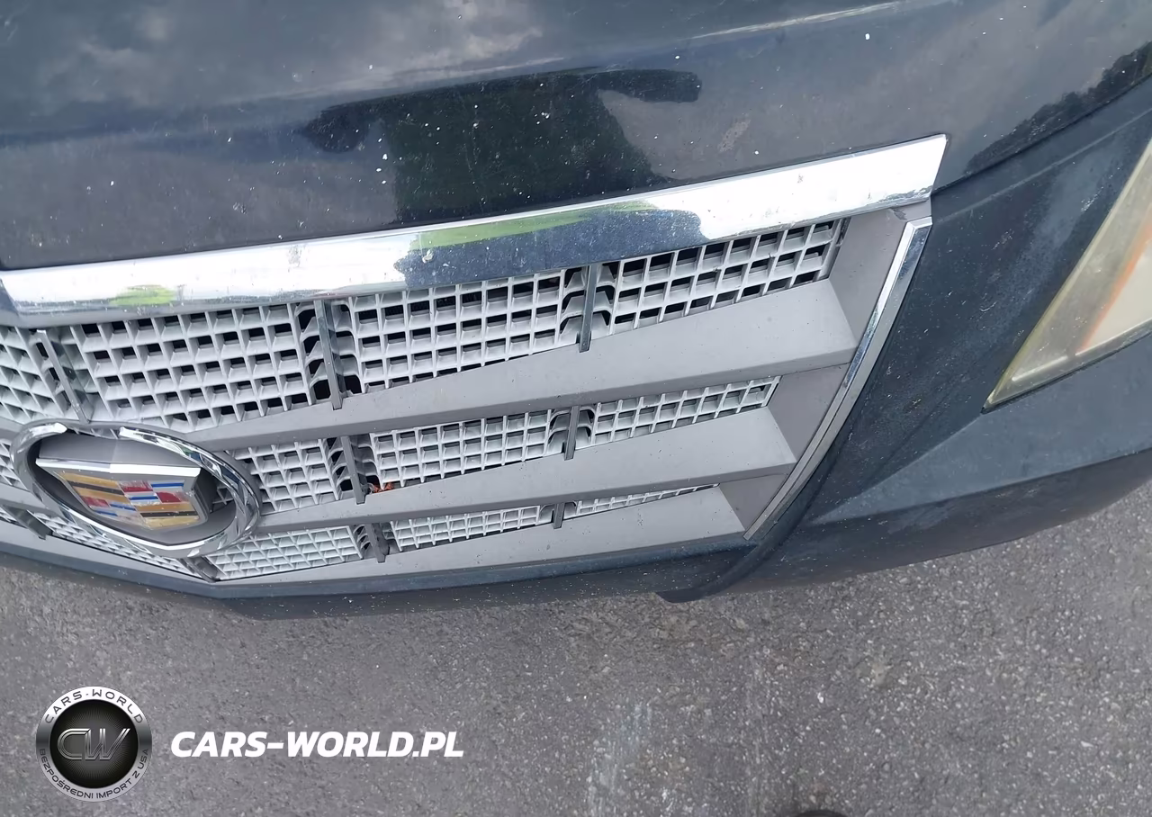 2010 Cadillac Cts Luxury VIN:1G6DE5EGXA0140230 - 10