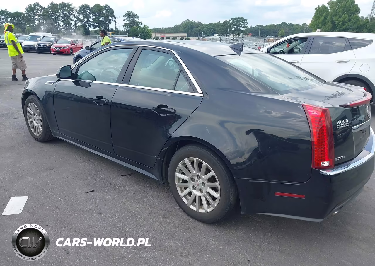 2010 Cadillac Cts Luxury VIN:1G6DE5EGXA0140230 - 3
