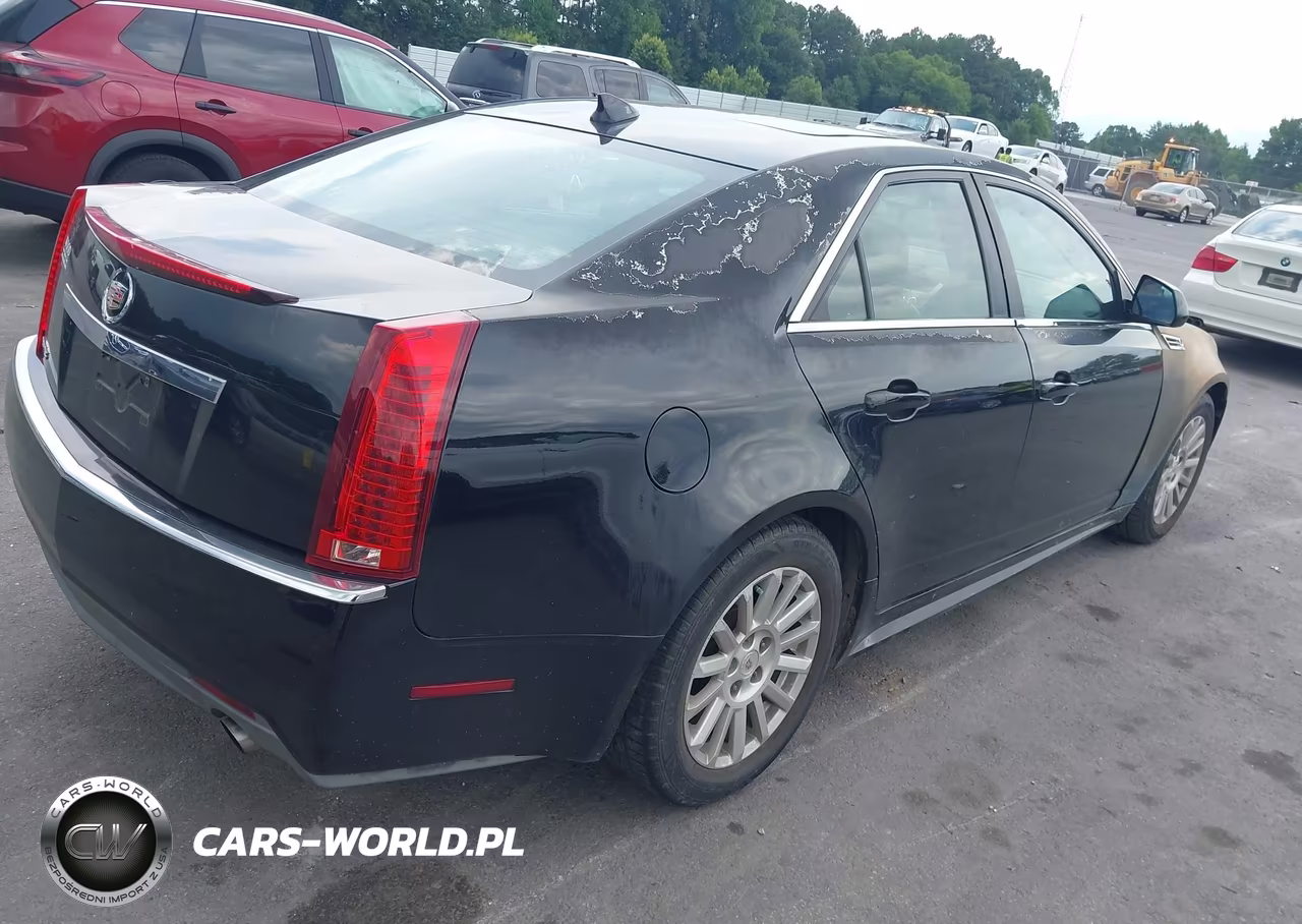 2010 Cadillac Cts Luxury VIN:1G6DE5EGXA0140230 - 4