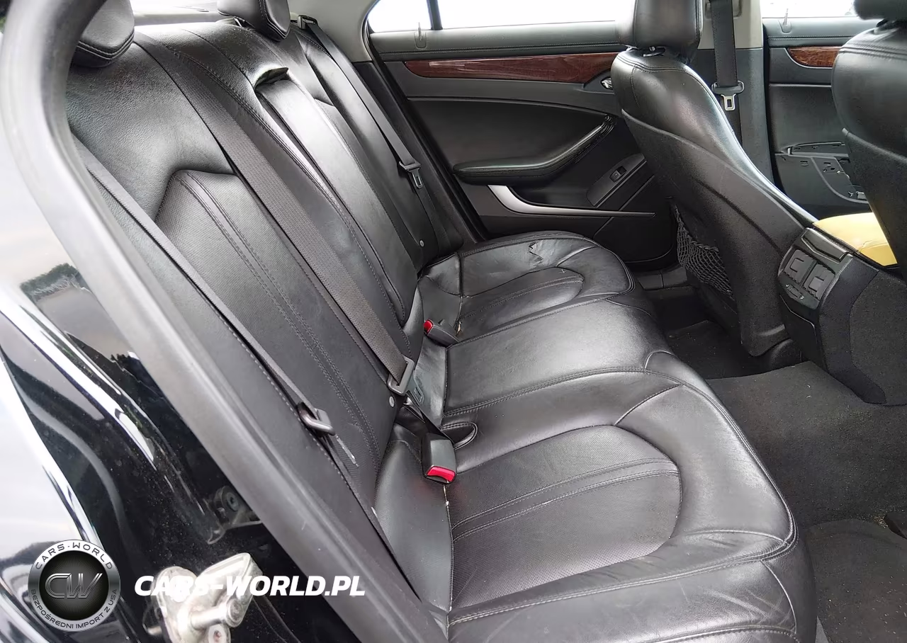 2010 Cadillac Cts Luxury VIN:1G6DE5EGXA0140230 - 8