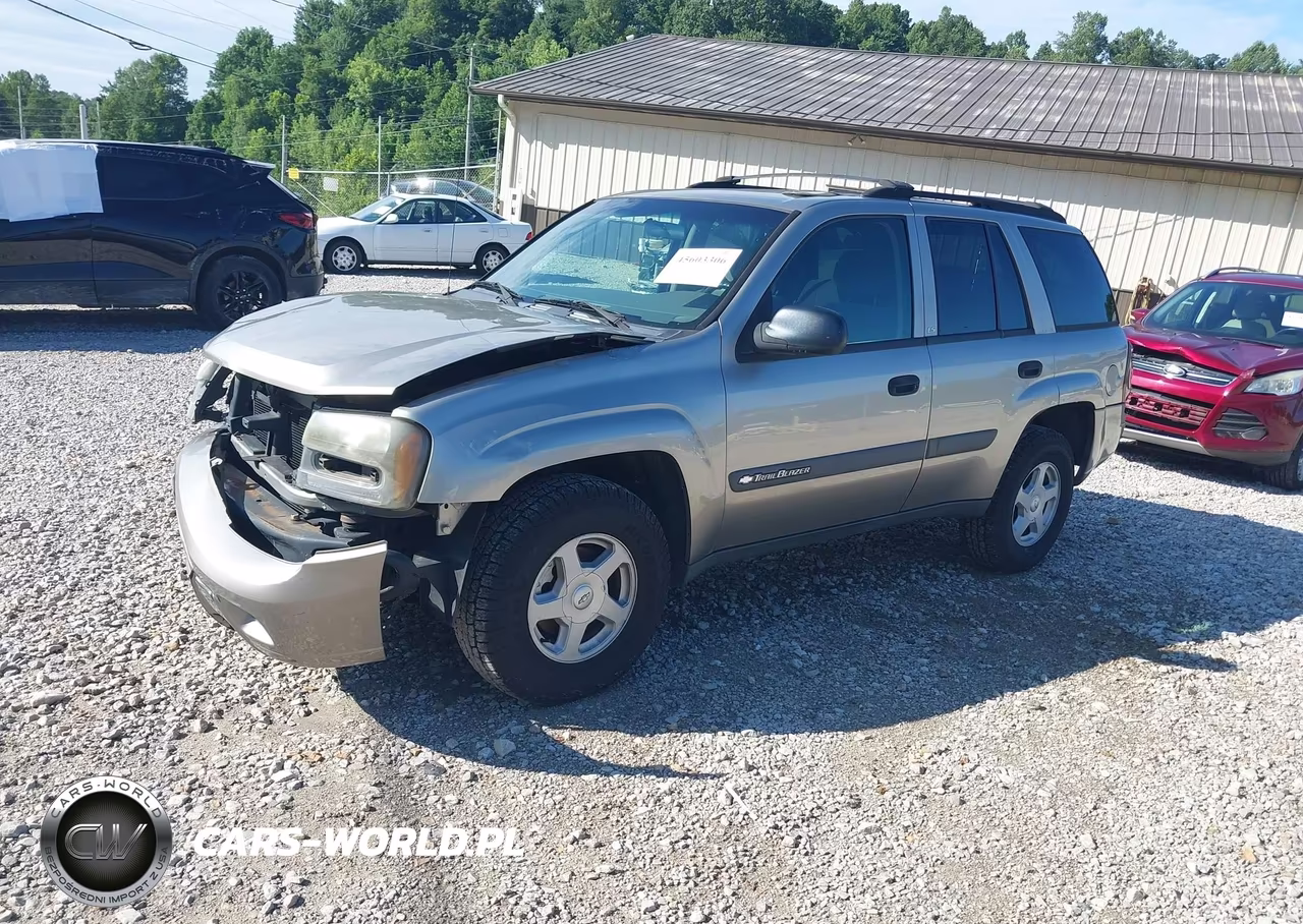 2003 Chevrolet Trailblazer Ls VIN:1GNDT13S532343110 - 2