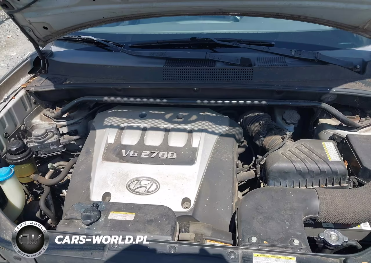 2005 Hyundai Tucson Gls-Lx VIN:KM8JN12DX5U129368 - 10