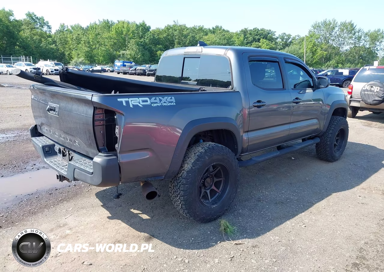 2020 Toyota Tacoma Trd Off-Road VIN:3TMCZ5AN2LM319962 - 4