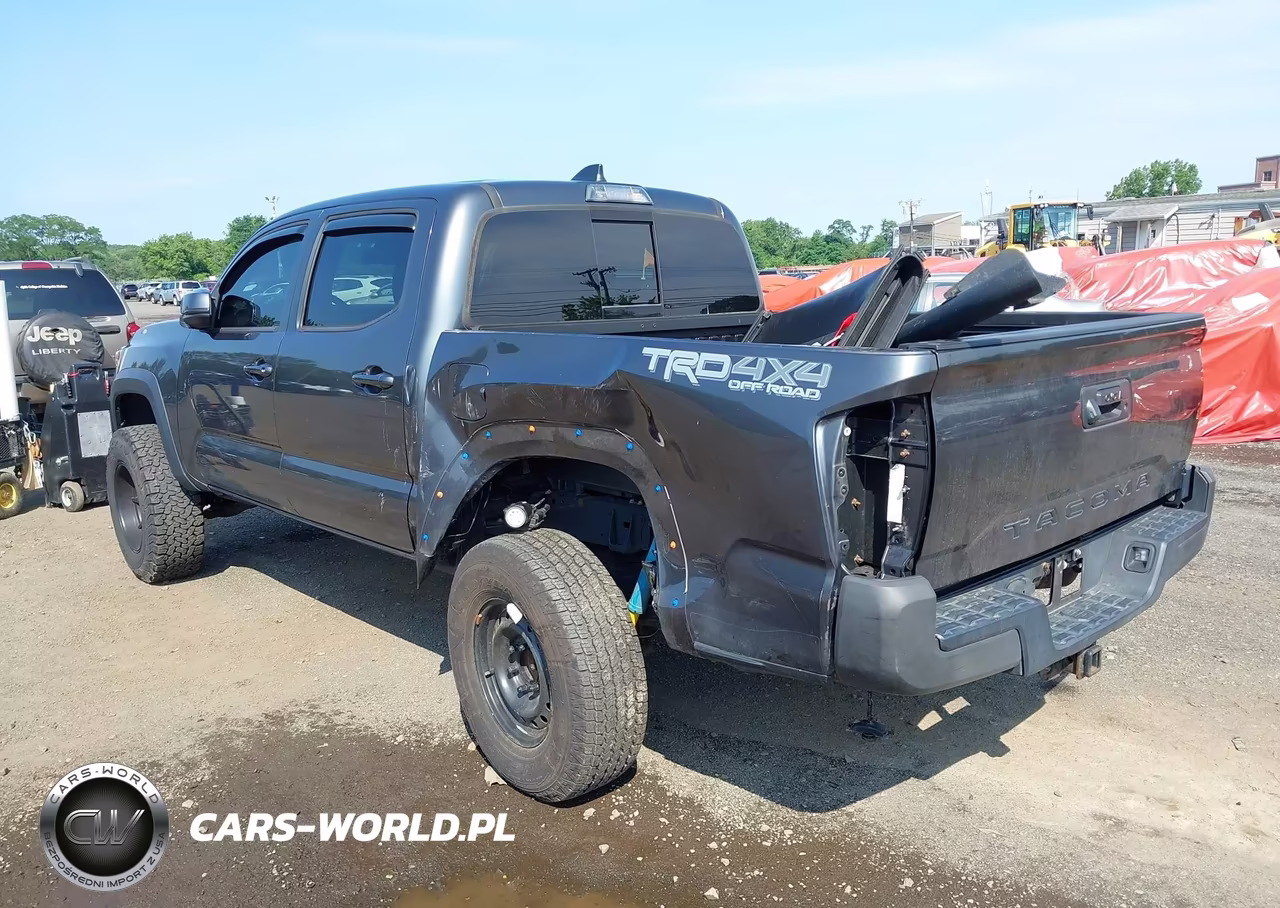 2020 Toyota Tacoma Trd Off-Road VIN:3TMCZ5AN2LM319962 - 6