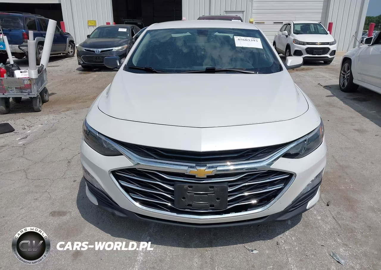 2019 Chevrolet Malibu Lt VIN:1G1ZD5ST8KF115843 - 12