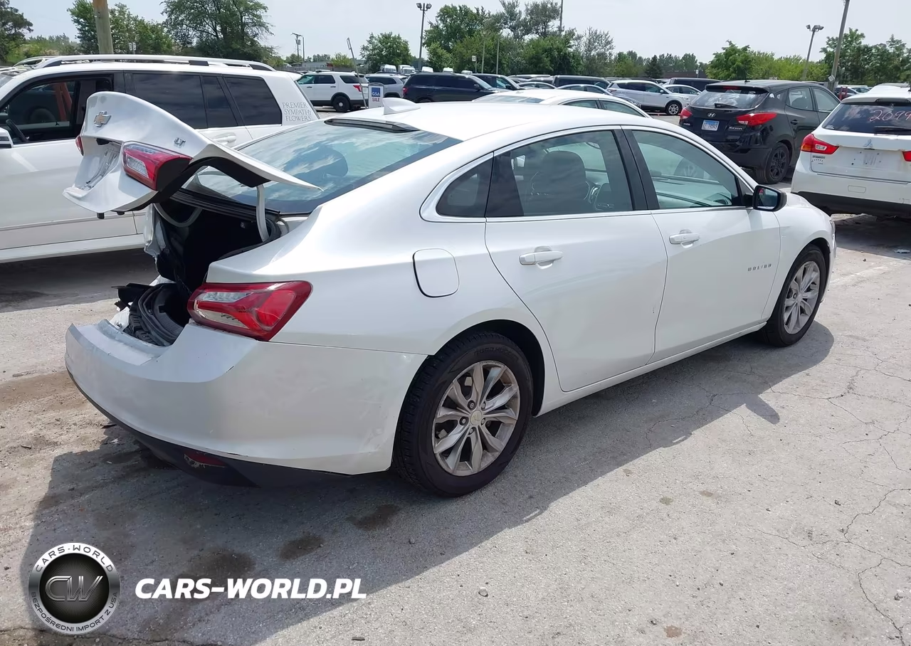 2019 Chevrolet Malibu Lt VIN:1G1ZD5ST8KF115843 - 4