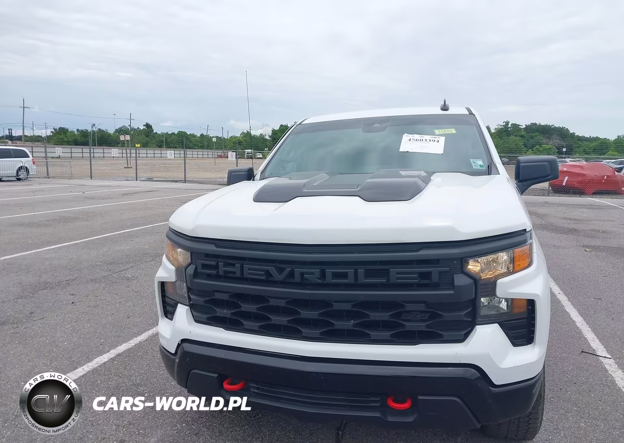 2023 Chevrolet Silverado 1500 4Wd Short Bed Custom Trail Boss VIN:3GCUDCED6PG279835 - 13