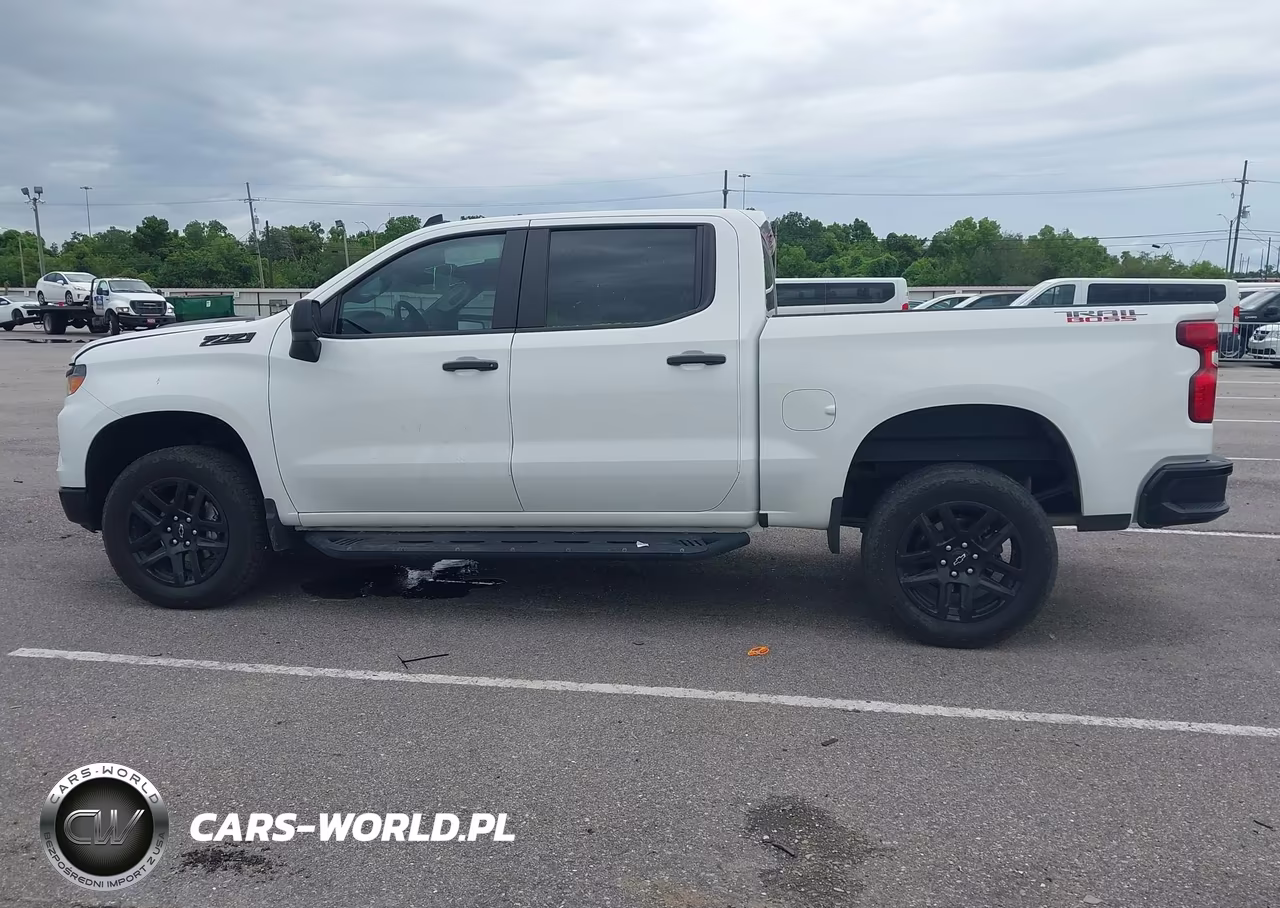 2023 Chevrolet Silverado 1500 4Wd Short Bed Custom Trail Boss VIN:3GCUDCED6PG279835 - 15