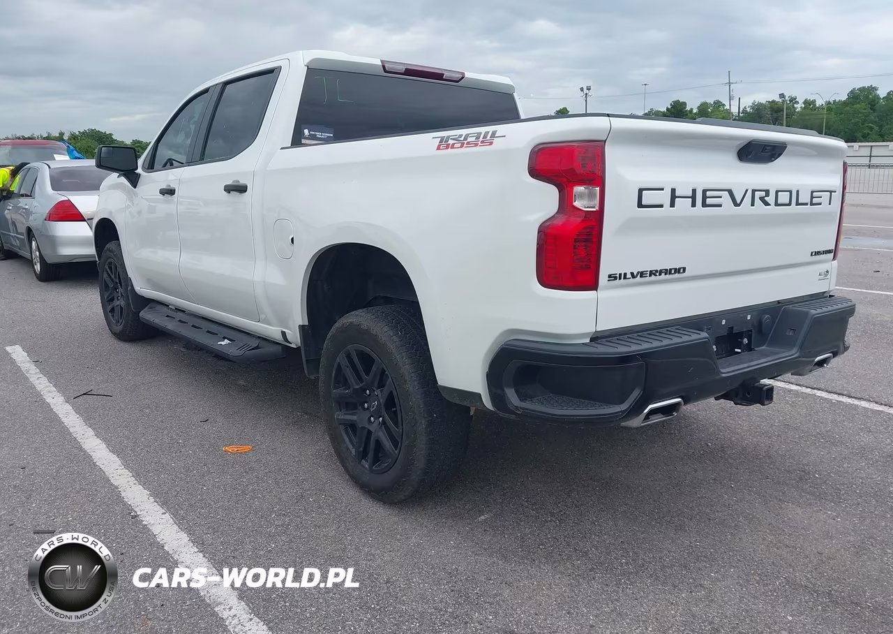 2023 Chevrolet Silverado 1500 4Wd Short Bed Custom Trail Boss VIN:3GCUDCED6PG279835 - 3
