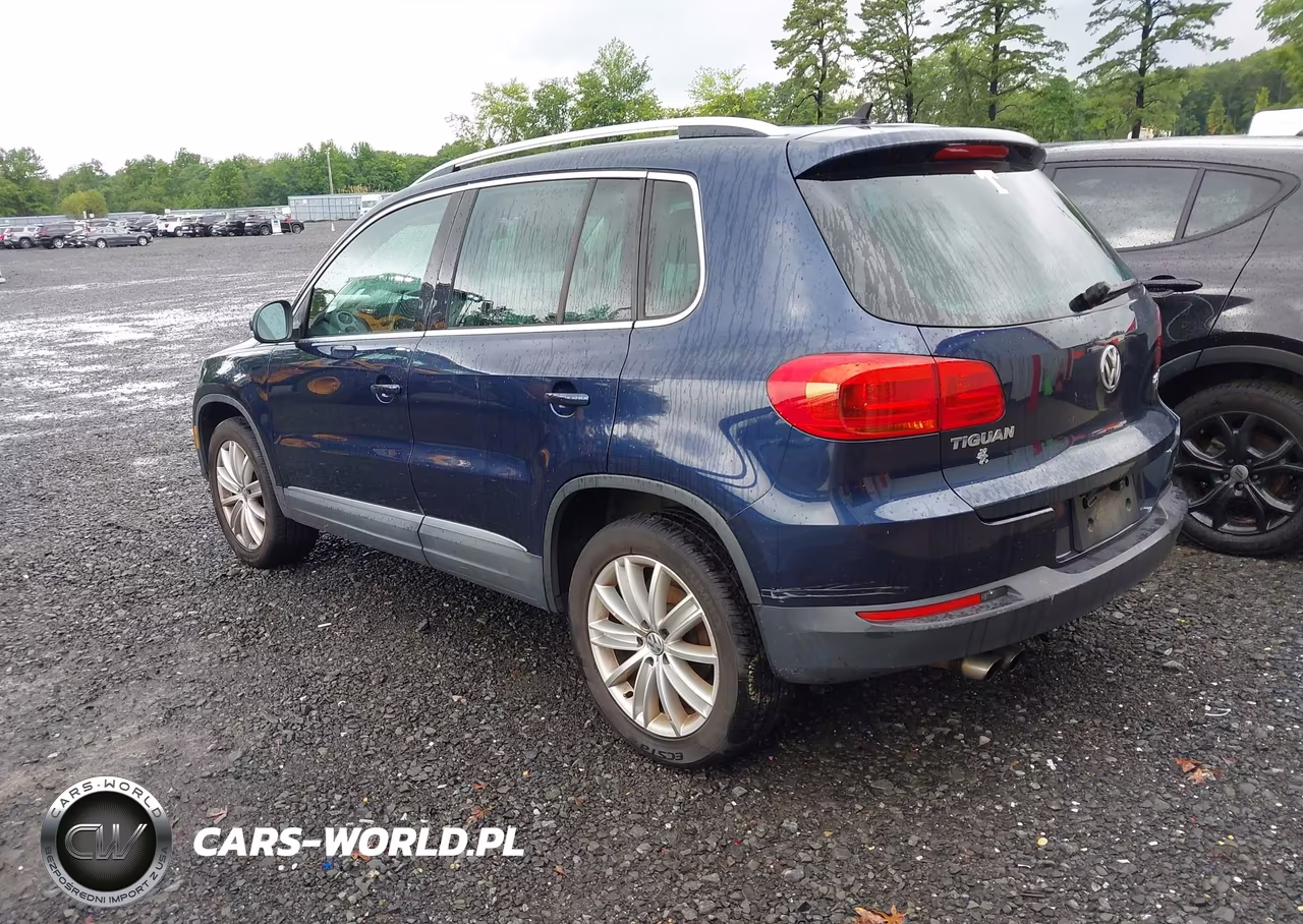 2013 Volkswagen Tiguan Se VIN:WVGBV7AX2DW510007 - 3