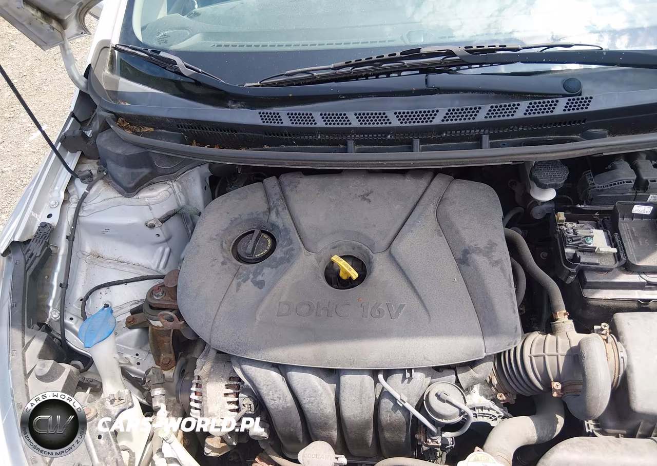 2014 Kia Forte Lx VIN:KNAFK4A61E5132870 - 10