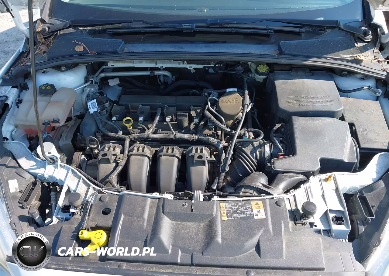 2015 Ford Focus Se VIN:1FADP3F25FL345903 - 10