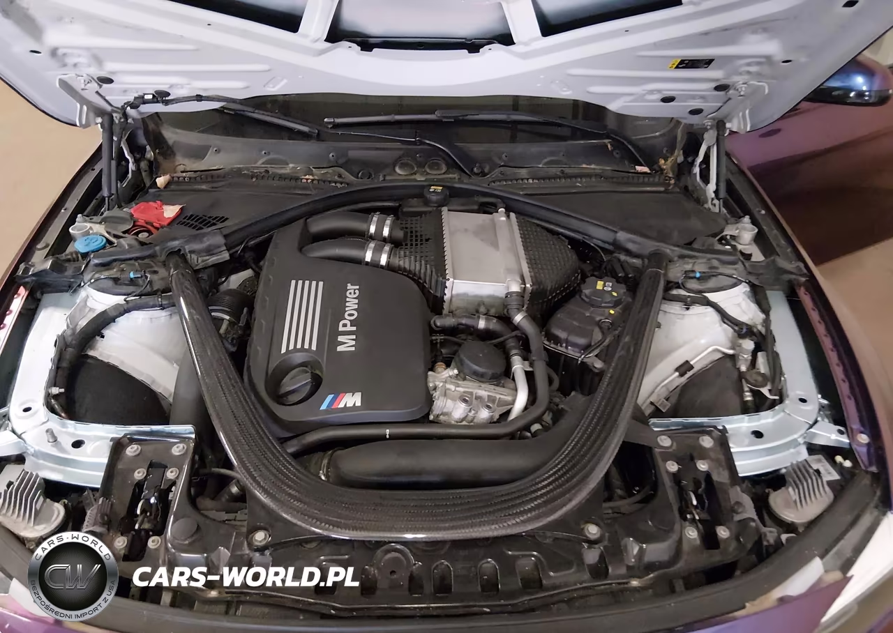 2018 BMW M3 Cs VIN:WBS8M9C50J5J79737 - 10