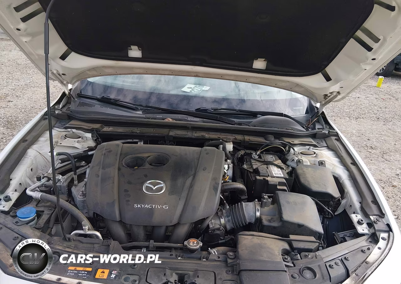 2019 Mazda Mazda3 Premium Package VIN:3MZBPAEMXKM101257 - 10