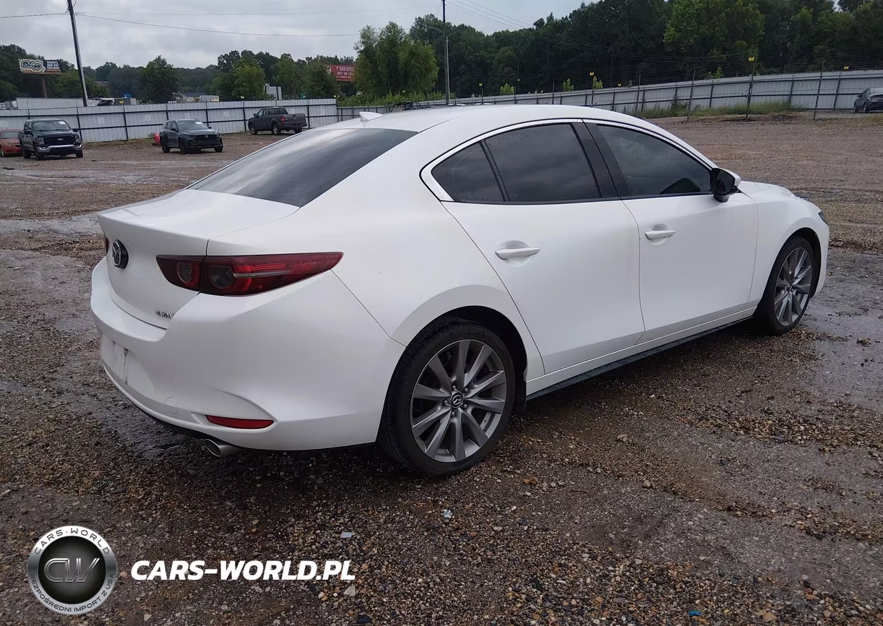 2019 Mazda Mazda3 Premium Package VIN:3MZBPAEMXKM101257 - 4