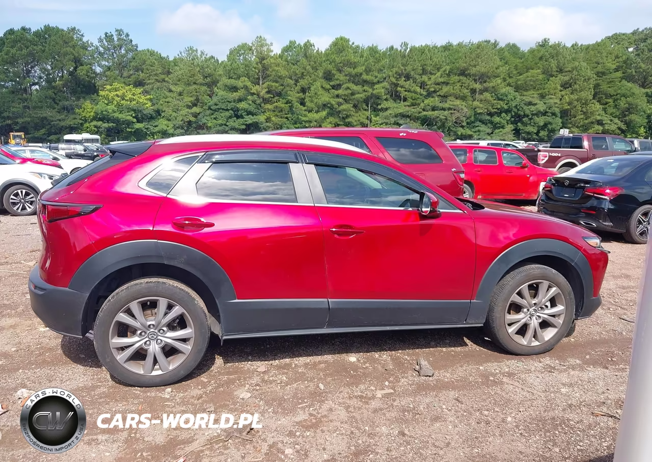 2023 Mazda Cx-30 2.5 S Select VIN:3MVDMBBM4PM565505 - 13