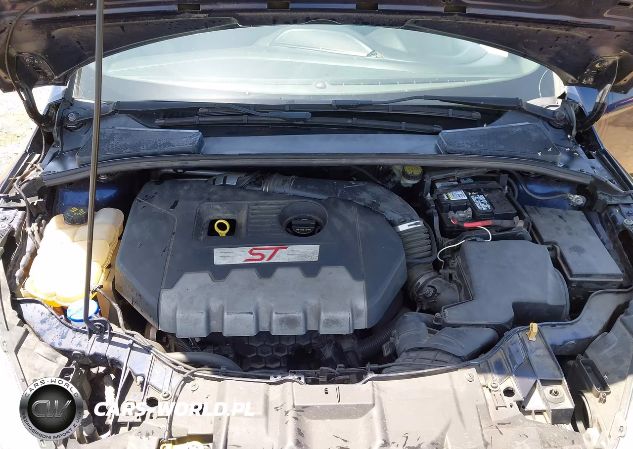 2016 Ford Focus St VIN:1FADP3L99GL238484 - 10