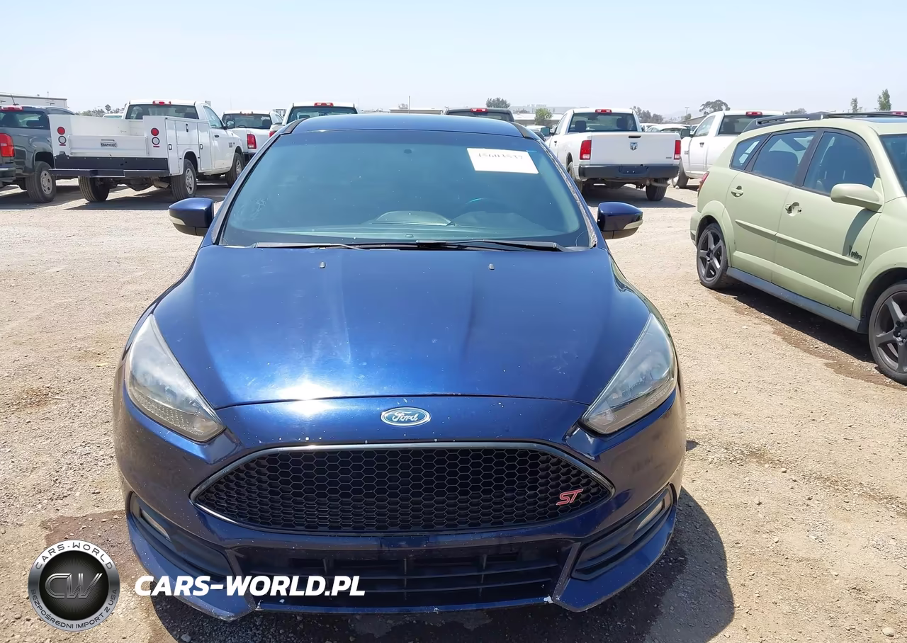 2016 Ford Focus St VIN:1FADP3L99GL238484 - 12