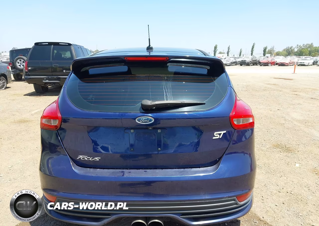 2016 Ford Focus St VIN:1FADP3L99GL238484 - 16