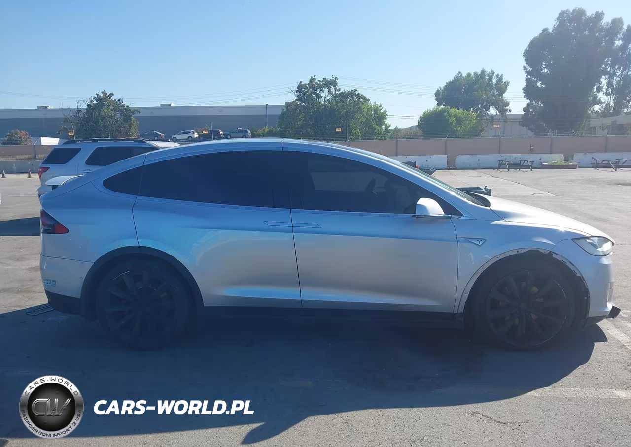 2016 Tesla Model X 75D-P100D-P90D VIN:5YJXCBE41GF001294 - 13