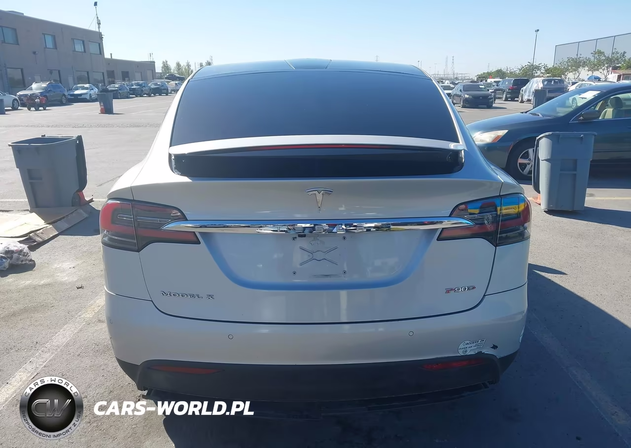 2016 Tesla Model X 75D-P100D-P90D VIN:5YJXCBE41GF001294 - 16
