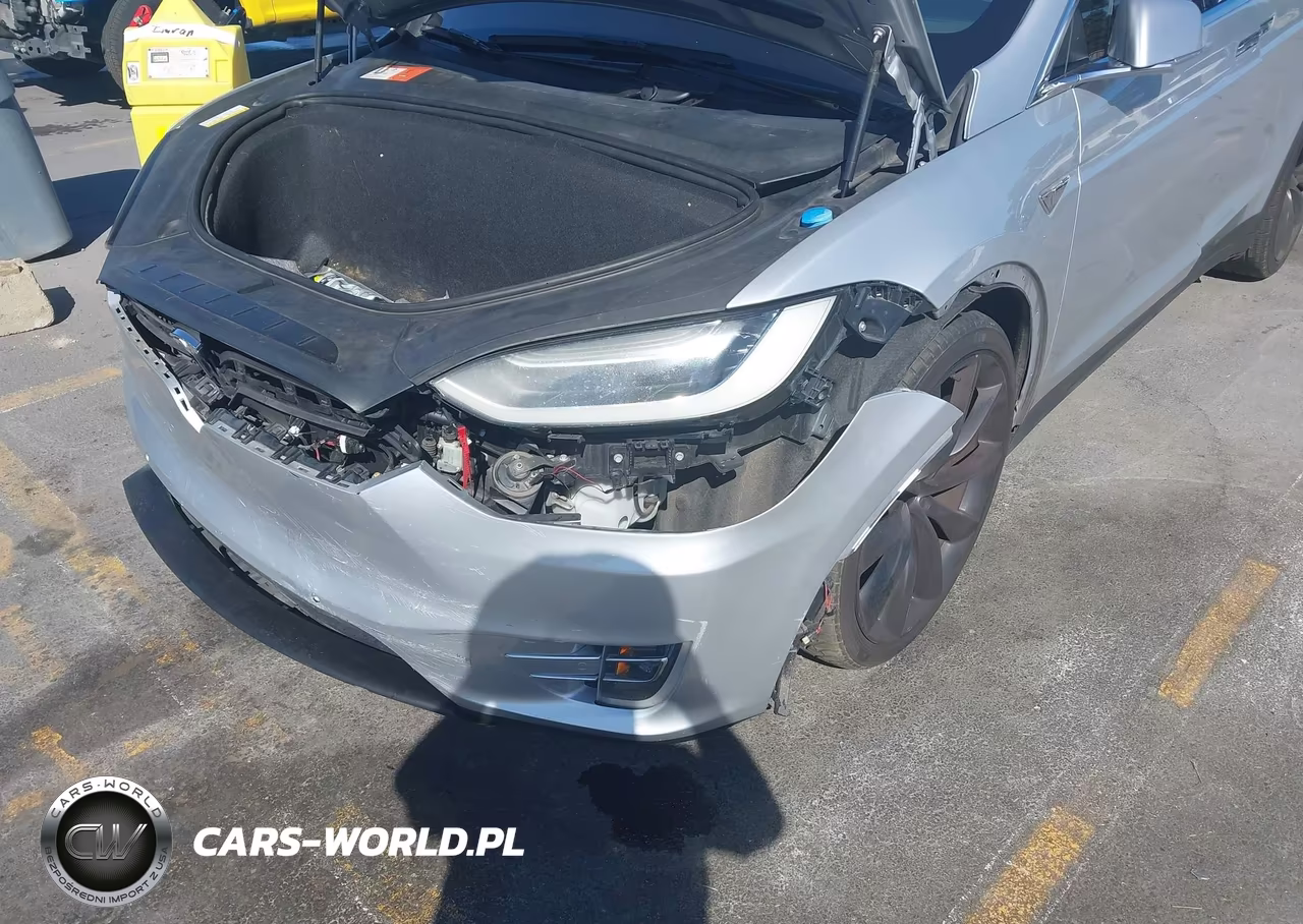 2016 Tesla Model X 75D-P100D-P90D VIN:5YJXCBE41GF001294 - 6