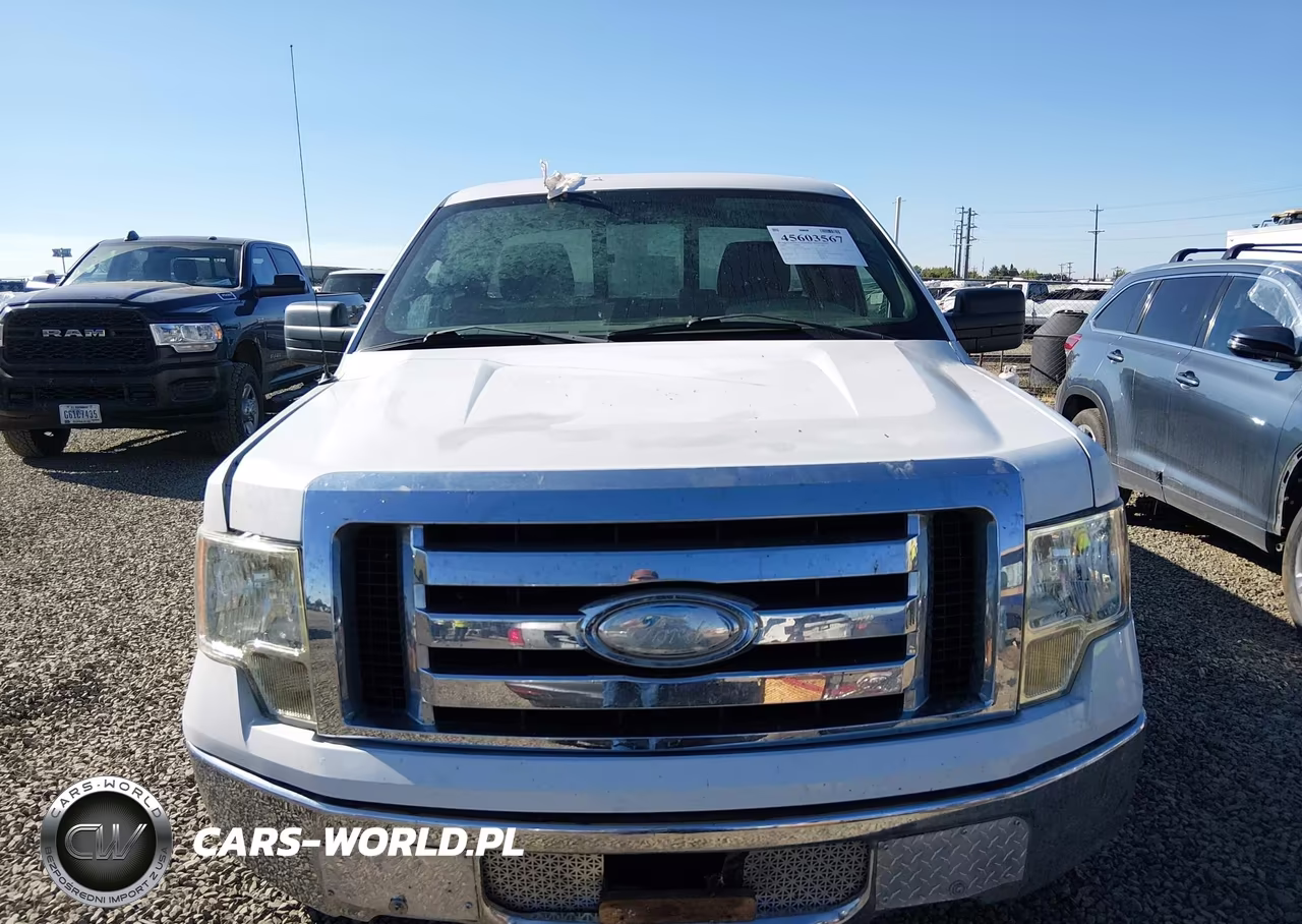 2009 Ford F-150 Stx-Xl-Xl W-Midbox Prep-Xlt-Xlt W-Midbox Prep VIN:1FTRF12W69KB67686 - 12