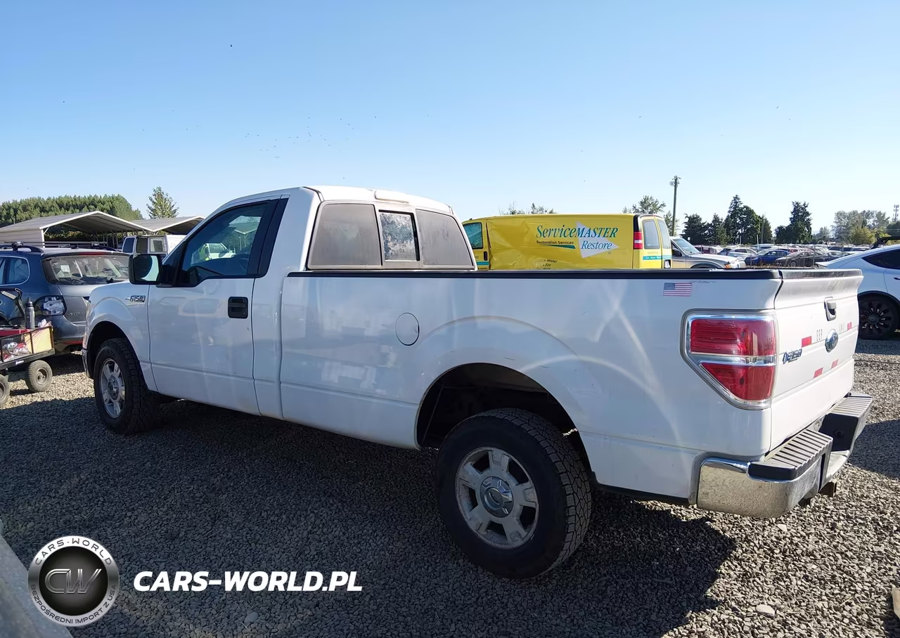 2009 Ford F-150 Stx-Xl-Xl W-Midbox Prep-Xlt-Xlt W-Midbox Prep VIN:1FTRF12W69KB67686 - 14