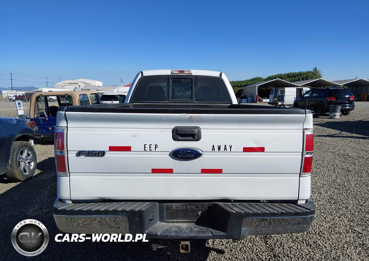 2009 Ford F-150 Stx-Xl-Xl W-Midbox Prep-Xlt-Xlt W-Midbox Prep VIN:1FTRF12W69KB67686 - 16