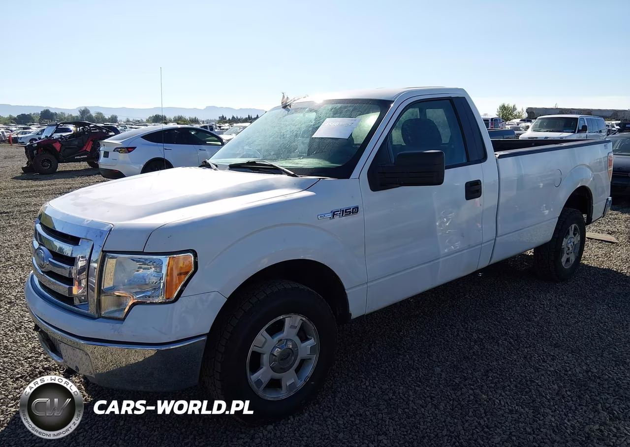 2009 Ford F-150 Stx-Xl-Xl W-Midbox Prep-Xlt-Xlt W-Midbox Prep VIN:1FTRF12W69KB67686 - 2