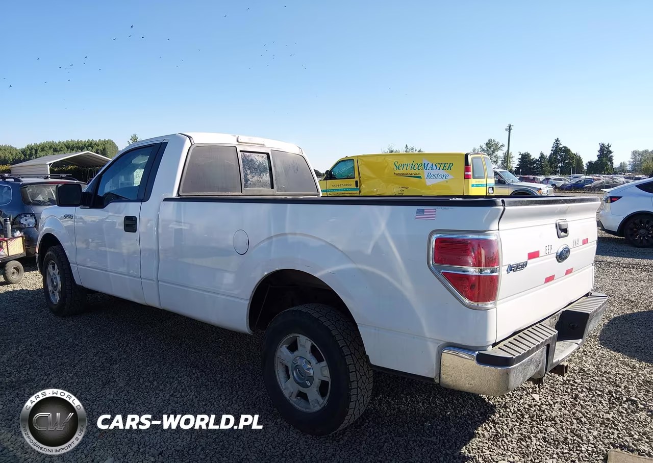 2009 Ford F-150 Stx-Xl-Xl W-Midbox Prep-Xlt-Xlt W-Midbox Prep VIN:1FTRF12W69KB67686 - 3