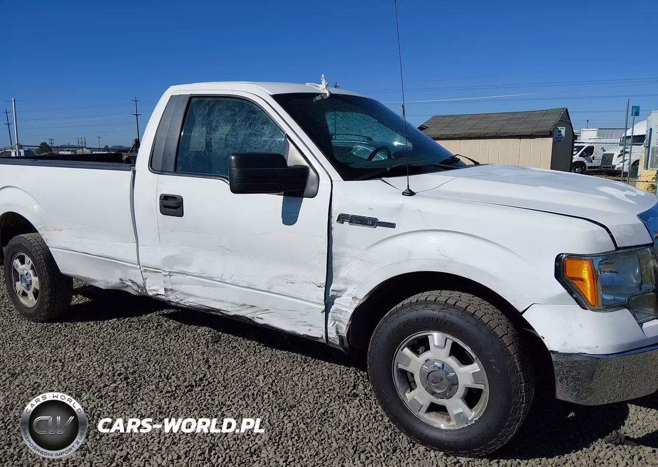 2009 Ford F-150 Stx-Xl-Xl W-Midbox Prep-Xlt-Xlt W-Midbox Prep VIN:1FTRF12W69KB67686 - 6
